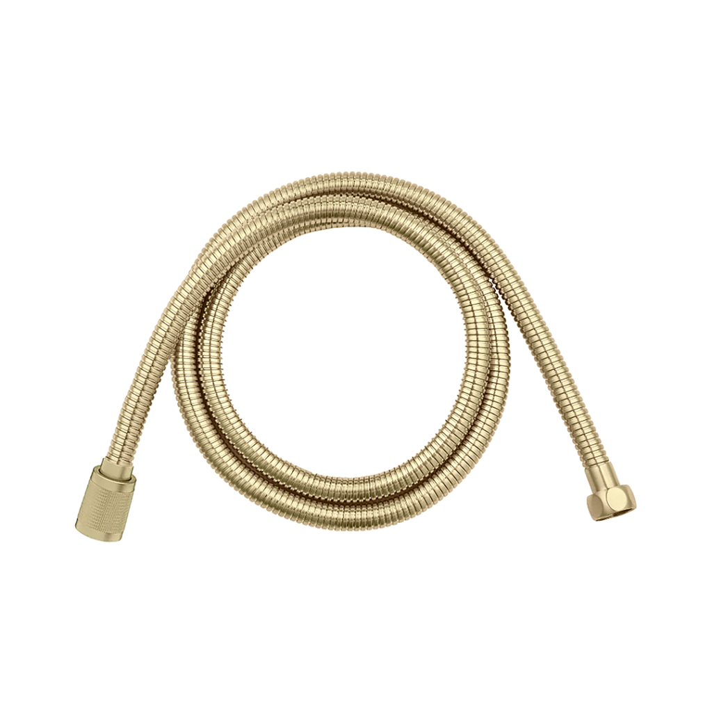 AKUALUX 59-inch Stainless Steel Hose B35241CHG