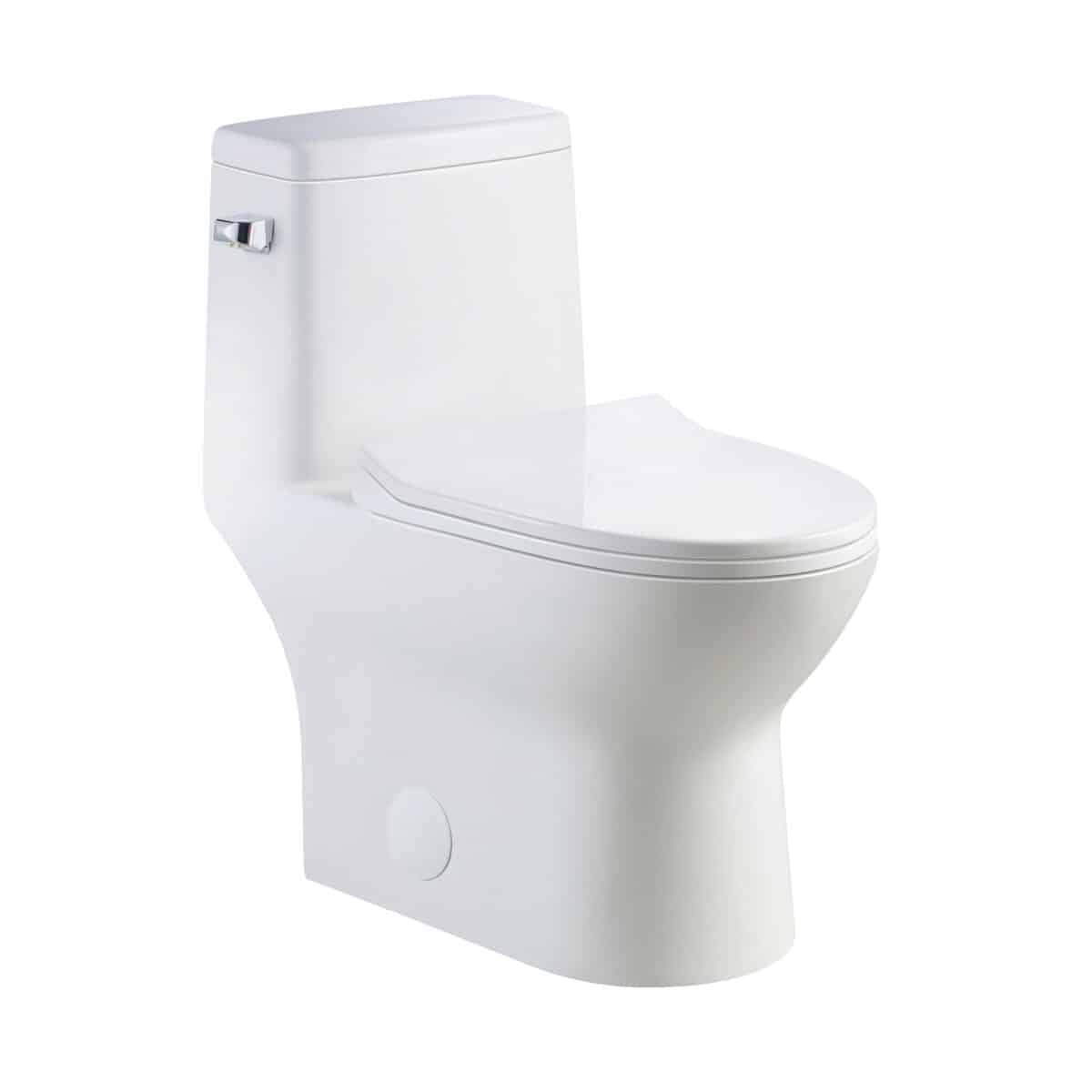Toilette monobloc à chasse d’eau simple