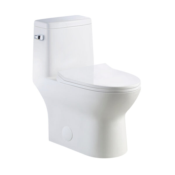 Toilette monobloc à chasse d’eau simple