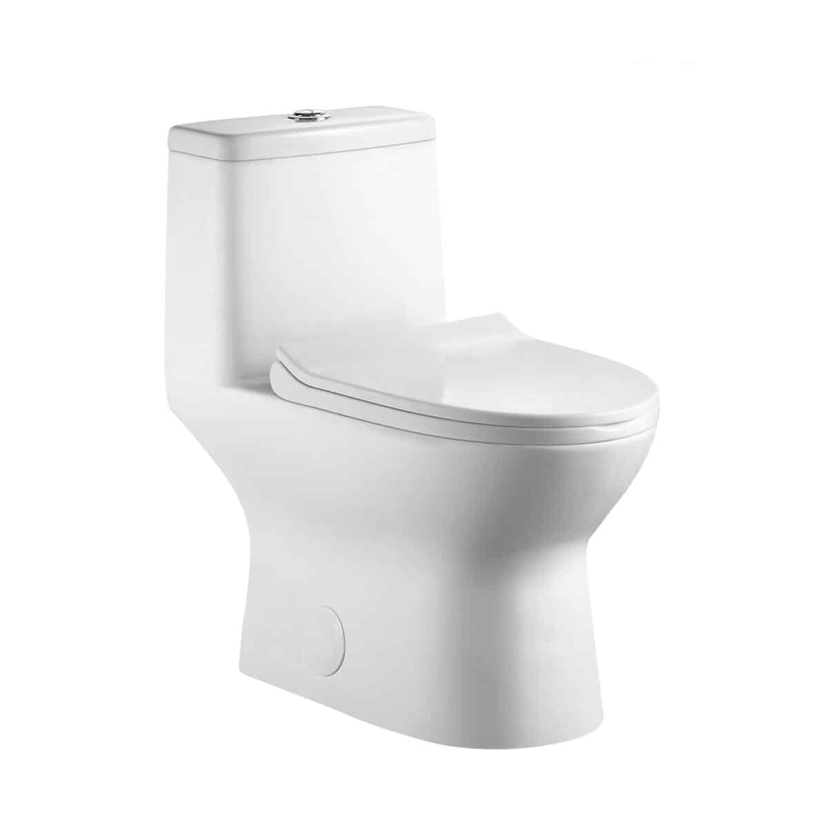 Toilette monobloc à double chasse d’eau