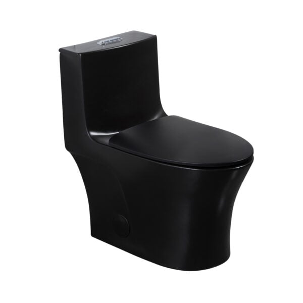 Toilette monobloc à double chasse d’eau