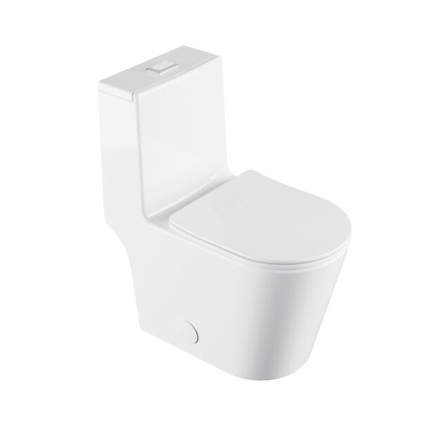 Toilette monobloc à double chasse d’eau akuaplus®