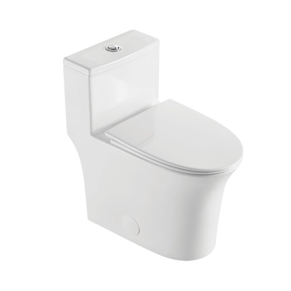 Toilette monobloc à double chasse d’eau akuaplus®
