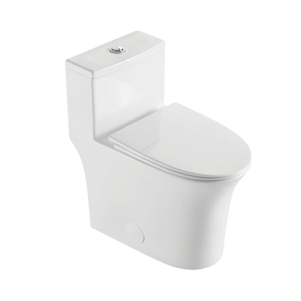Toilette monobloc à double chasse d’eau akuaplus®