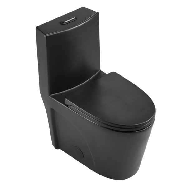 Toilette monobloc à double chasse d’eau akuaplus®