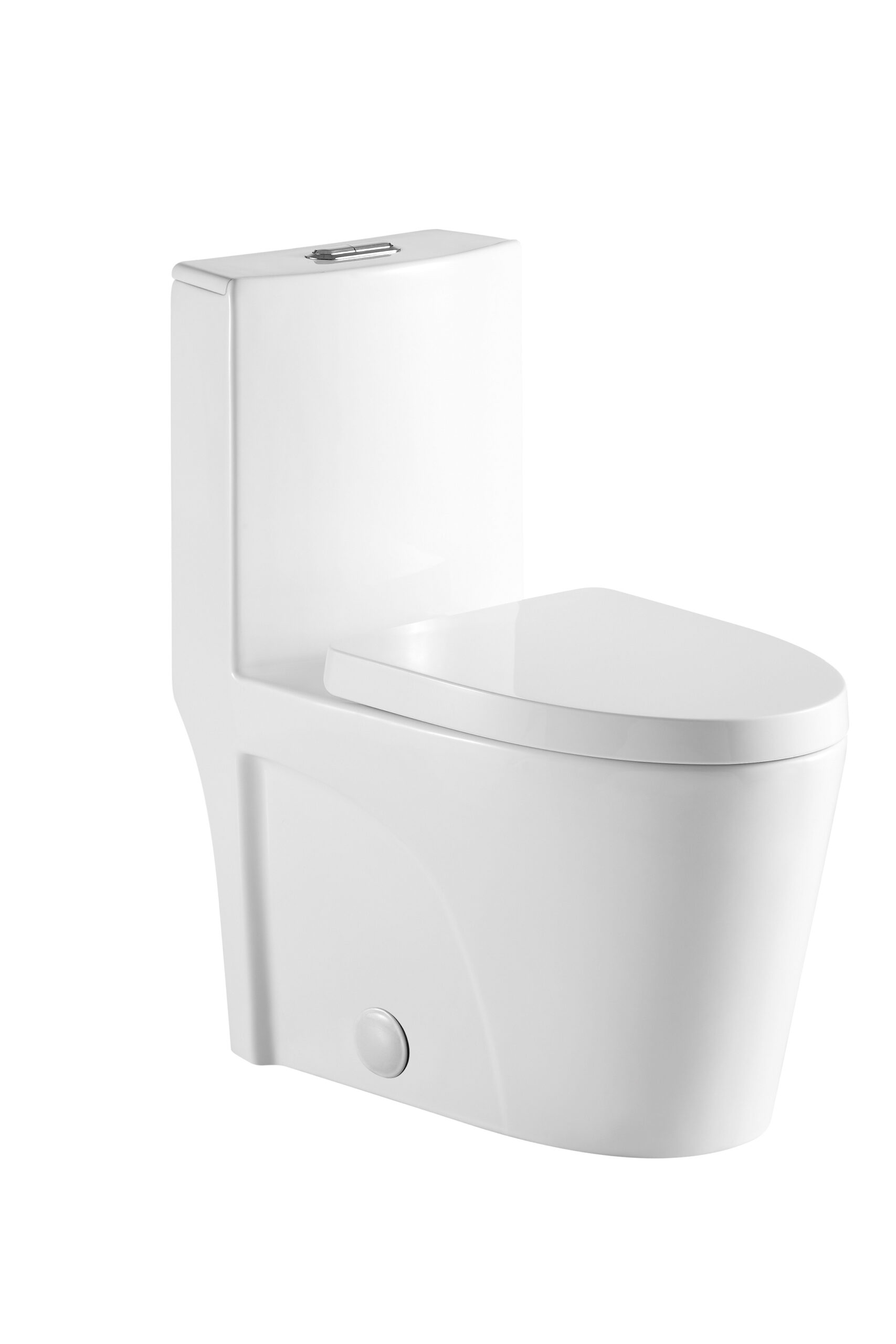 Toilette monobloc à double chasse d’eau akuaplus®