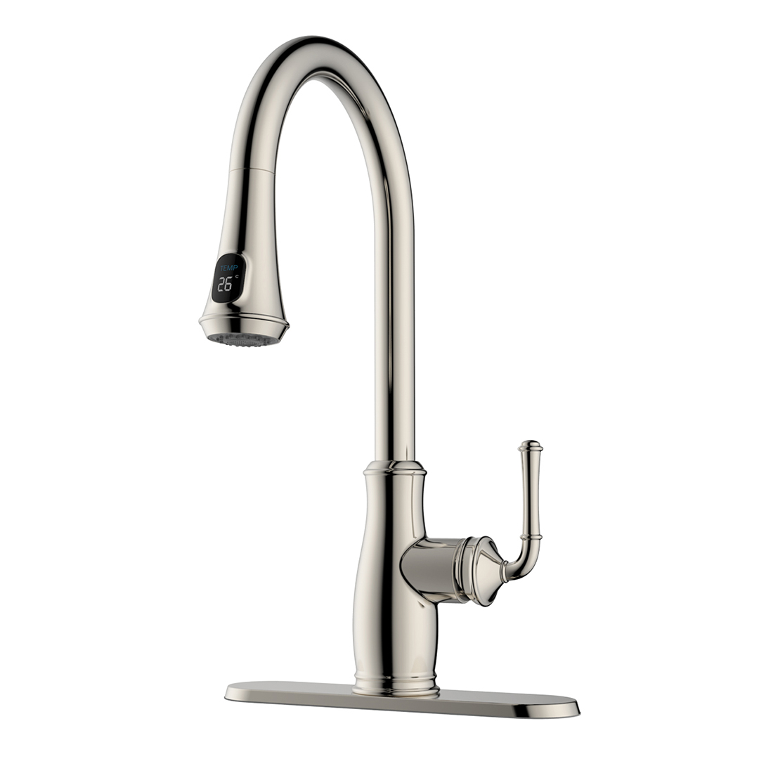 SOPHIA Kitchen Faucet RC3800BN