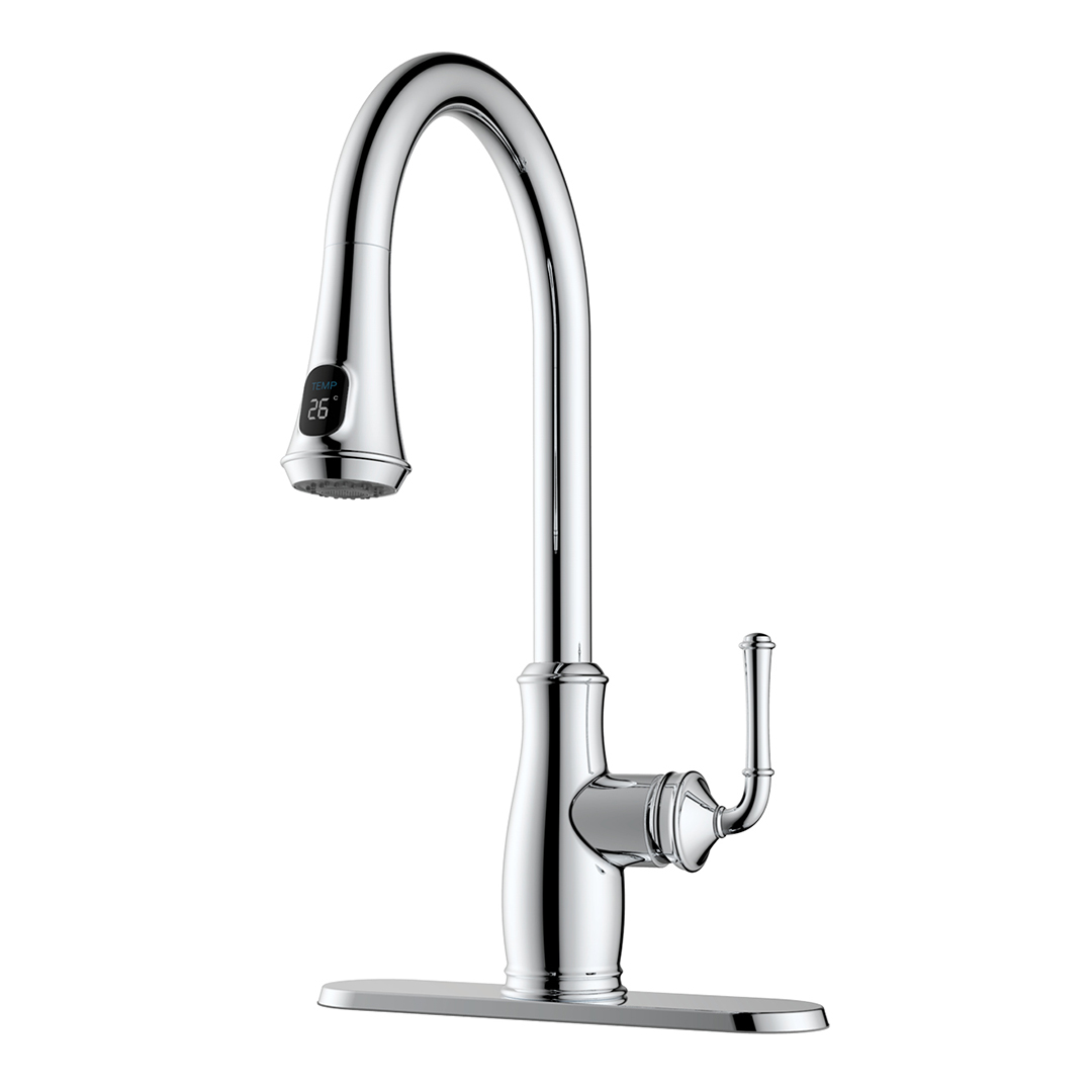 Robinet de cuisine SOPHIA RC3800CP