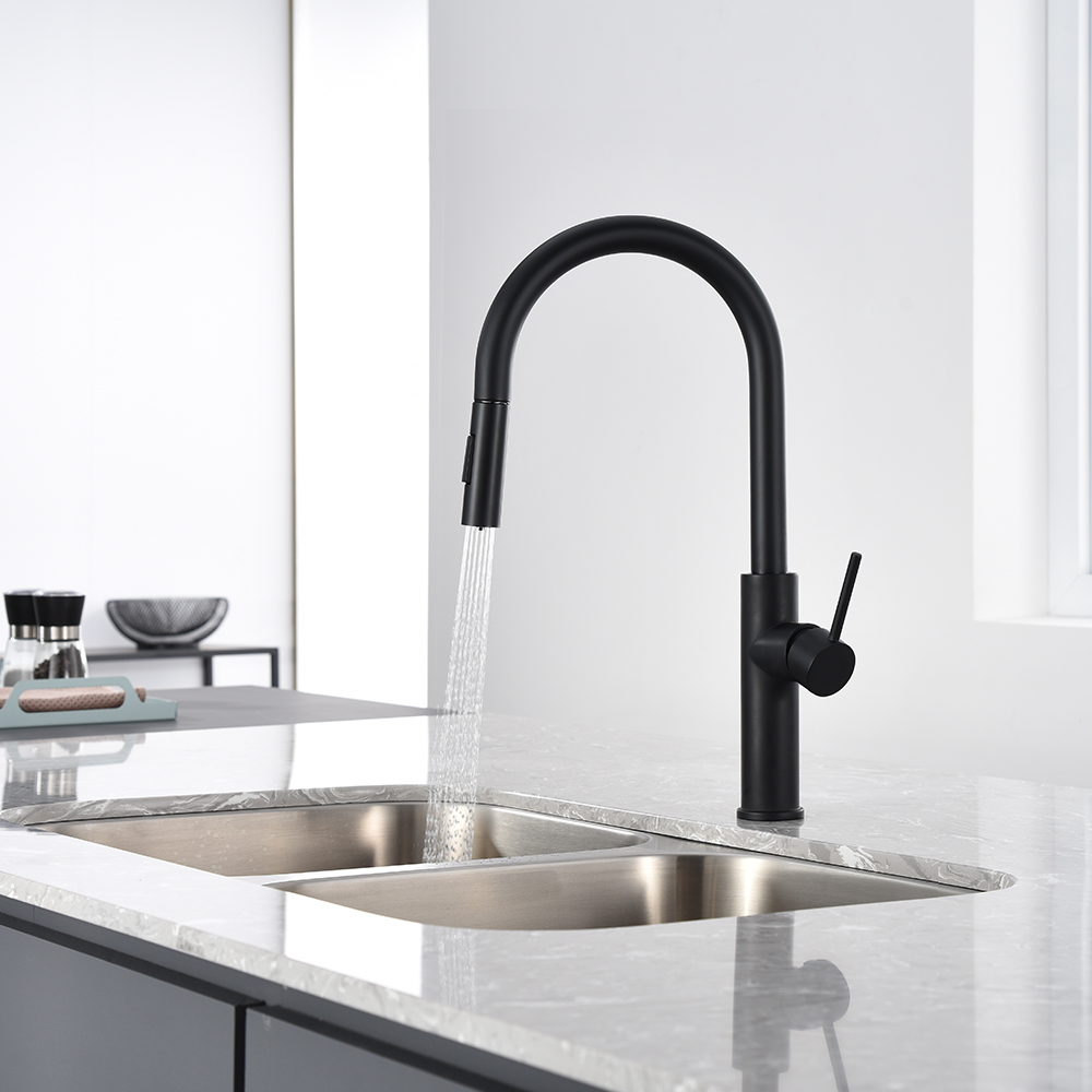 ambiance akuaplus kitchen faucet